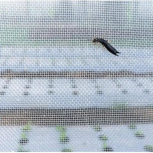 Lưới chống côn trùng Thái Lan 50 Mesh Lưới chống côn trùng Thái Lan 50 Mesh